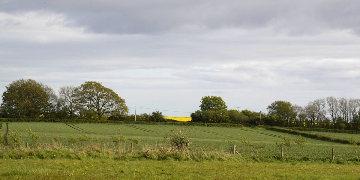 Oak and ash myth or fact? Lois Wakeman